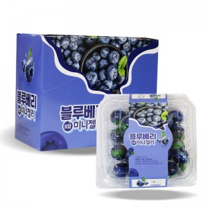 (행사) 500 피치 블루베리모양 미니젤리 40g *10입 (편의점입점)